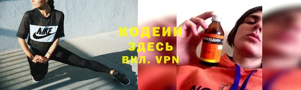 мет Инта
