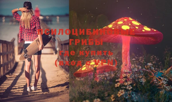 дмт Иннополис