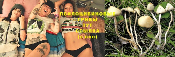 дмт Иннополис