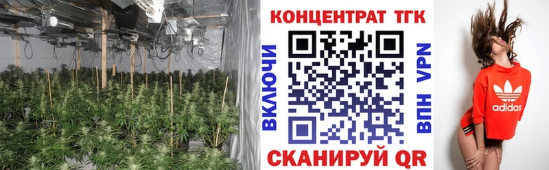 ТГК концентрат Зарайск